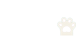 Stranded Cat
